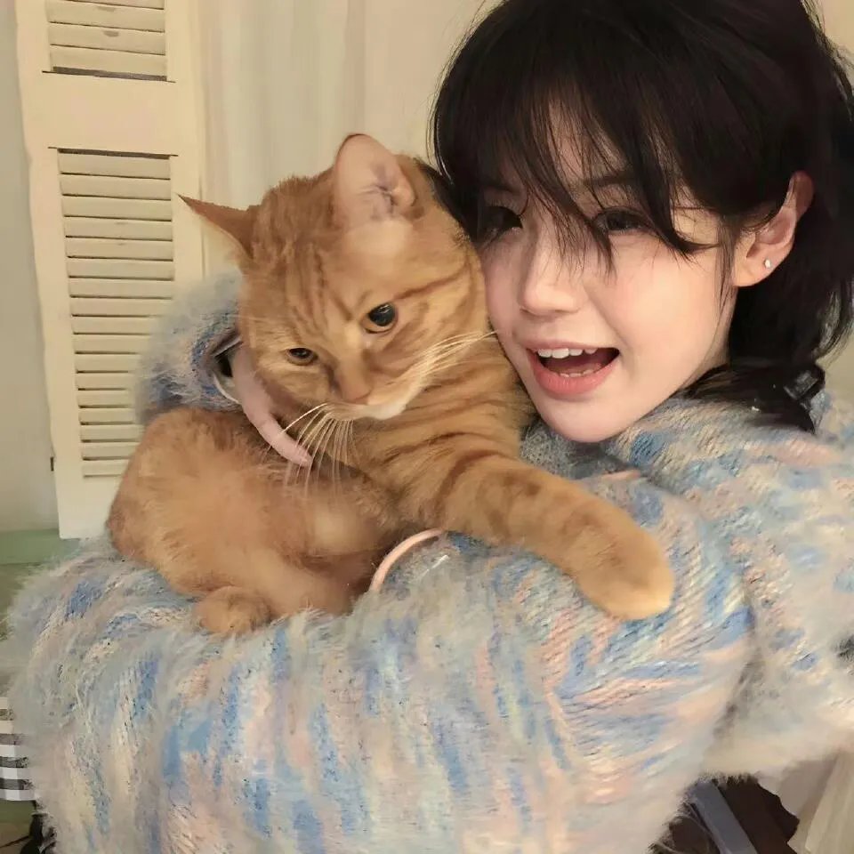 我在退休后闪婚